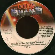 T.O.K. - Hands In The Air
