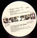 12'' - Ta Mara & The Seen - Blueberry Gossip - Promo