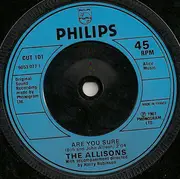 7inch Vinyl Single - The Allisons / Paul & Paula - Are You Sure / Hey Paula