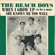 The Beach Boys - When I Grow Up