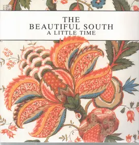 The Beautiful South - A Little Time