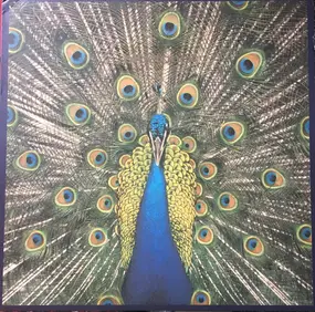 The Bluetones - Expecting to Fly