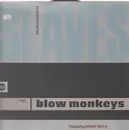 12inch Vinyl Single - The Blow Monkeys Featuring Sylvia Tella - Slaves No More