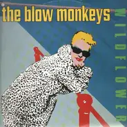 The Blow Monkeys - Wildflower
