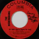 7inch Vinyl Single - The Buckinghams - Hey Baby (They're Playing Our Song) / And Our Love - Terre Haute Pressing