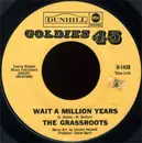 7inch Vinyl Single - The Grass Roots - Wait A Million Years / The River Is Wide