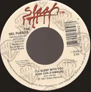 The Del Fuegos - I'll Sleep With You (Cha Cha D'Amour)