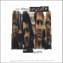 Double LP - The Dream Syndicate - Out Of The Grey