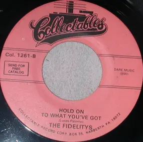 The Fidelity's - Hold On To What You've Got / The Things I Love