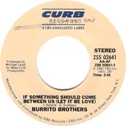 The Flying Burrito Bros - If Something Should Come Between Us (Let It Be Love)