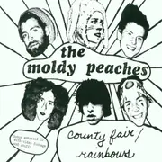 CD Single - the Moldy Peaches - County Fair/Rainbows