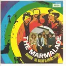 7'' - The Marmalade - Rainbow /The Ballad Of Cherry Flavar