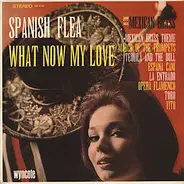 The Mexican Brass - Spanish Flea And What Now My Love