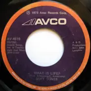 The Softones - What Is Life? / Can't Help Falling In Love