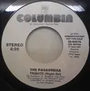 7inch Vinyl Single - The Pasadenas - Tribute