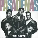 12inch Vinyl Single - The Pasadenas - Tribute