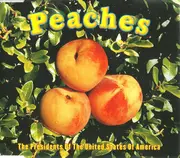 CD Single - The Presidents Of The United States Of America - Peaches