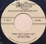 The Willows / Hal Paige - Now That I Have You / Big Foot Maye