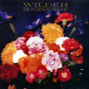 LP - The Teardrop Explodes - Wilder