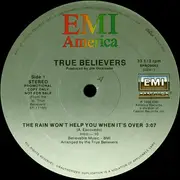 12inch Vinyl Single - The True Believers - The Rain Won't Help You When It's Over