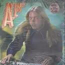 LP - The Gregg Allman Band - Playin' Up A Storm