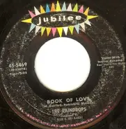 The Raindrops - Book Of Love / I Won't Cry