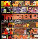 12inch Vinyl Single - timabaland - here we come