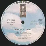 12inch Vinyl Single - Timothy B. Schmit - Playin' It Cool / Something's Wrong - Limited Edition - Promo