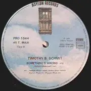 12inch Vinyl Single - Timothy B. Schmit - Playin' It Cool / Something's Wrong - Limited Edition - Promo