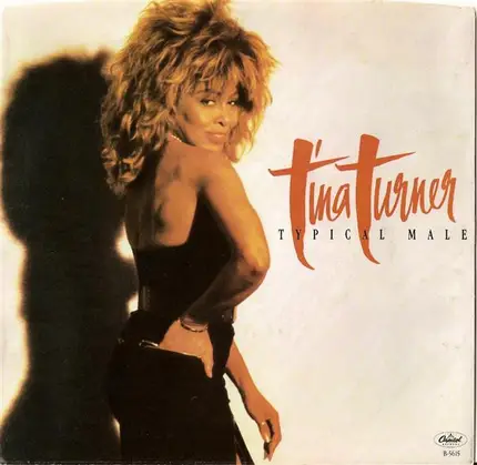 Tina Turner - Typical Male