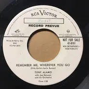 Tony Alamo - Was That You / Remember Me Wherever You Go