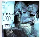 CD - Toad The Wet Sprocket - Coil