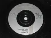 7'' - Transvision Vamp - The Only One