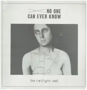Twilight Sad - No One Can Ever Know