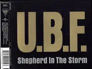 U.B.F. - Shepherd In The Storm