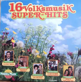 Various Artists - 16 Volksmusik Super-Hits
