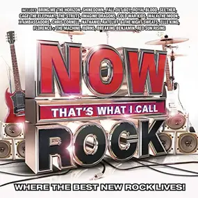 Various Artists - Now That's What I Call Rock