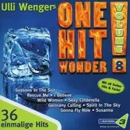 La Bionda, Nu Shooz, Santa Esmeralda a.o. - One Hit Wonder! Vol. 8