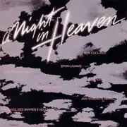 LP - Rita Coolidge, Bryan Adams, The English Beat - A Night In Heaven