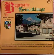 Bayrische Kapelle, Heinz Kulzer, a.o. - Bayrische Heimatklänge