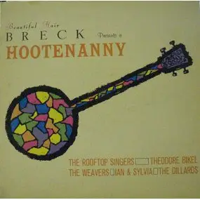 Various Artists - Beautiful Hair Breck Presents A Hootenanny