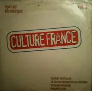 Gilbert Montagné, Le Grand Orchestre Du Splendid, a.o. - Culture France Vol 2 (Spécial Discothèque)