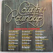 Tammy Wynette, Jimmy Payne, Mac Curtis, a.o. - Country Roundup: 20 Great Stars - 20 Great Hits