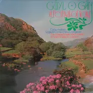Various - Gŵyl O Gân - A Festival Of Song