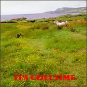 CD - Shaskeen / Gallowglass Ceili Band a.o. - It's Céilí Time Volume 2