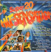 Ray Parker Jr., Sandy Marton a.o. - Super 20 Hit-Sensation