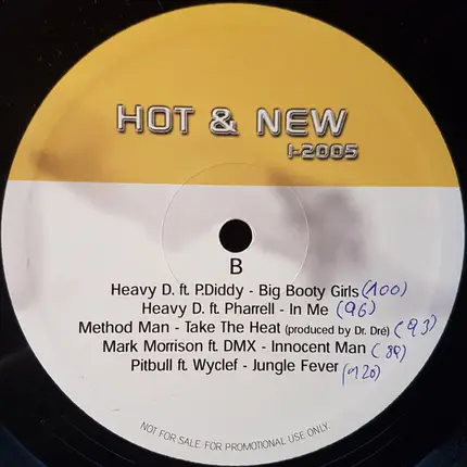 Mark Morrison / Miri Ben-Ari / Xavier Aeon a.o. - Hot & New 1-2005