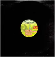 Hip Hop Reggae Sampler - Strictly For The Dreads Number 20