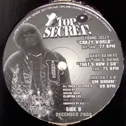 Baby Bash / Young Jeezy / u. a. - Top Secret December 2008