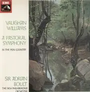 Ralph Vaughan Williams , Amanda Roocroft , London Philharmonic Orchestra , Bernard Haitink - A Pastoral Symphony